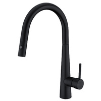 Nero Dolce Pull-out Sink Mixer with Vegy Spray Function - Matte Black